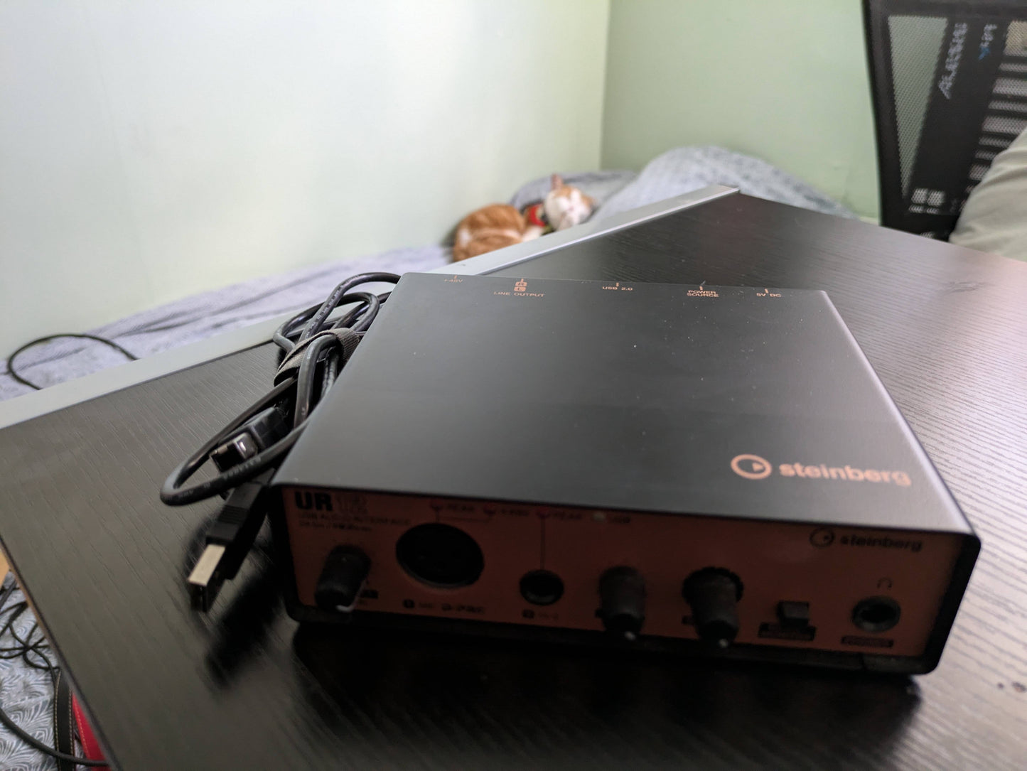 Steinburg Audio Interface UR12
