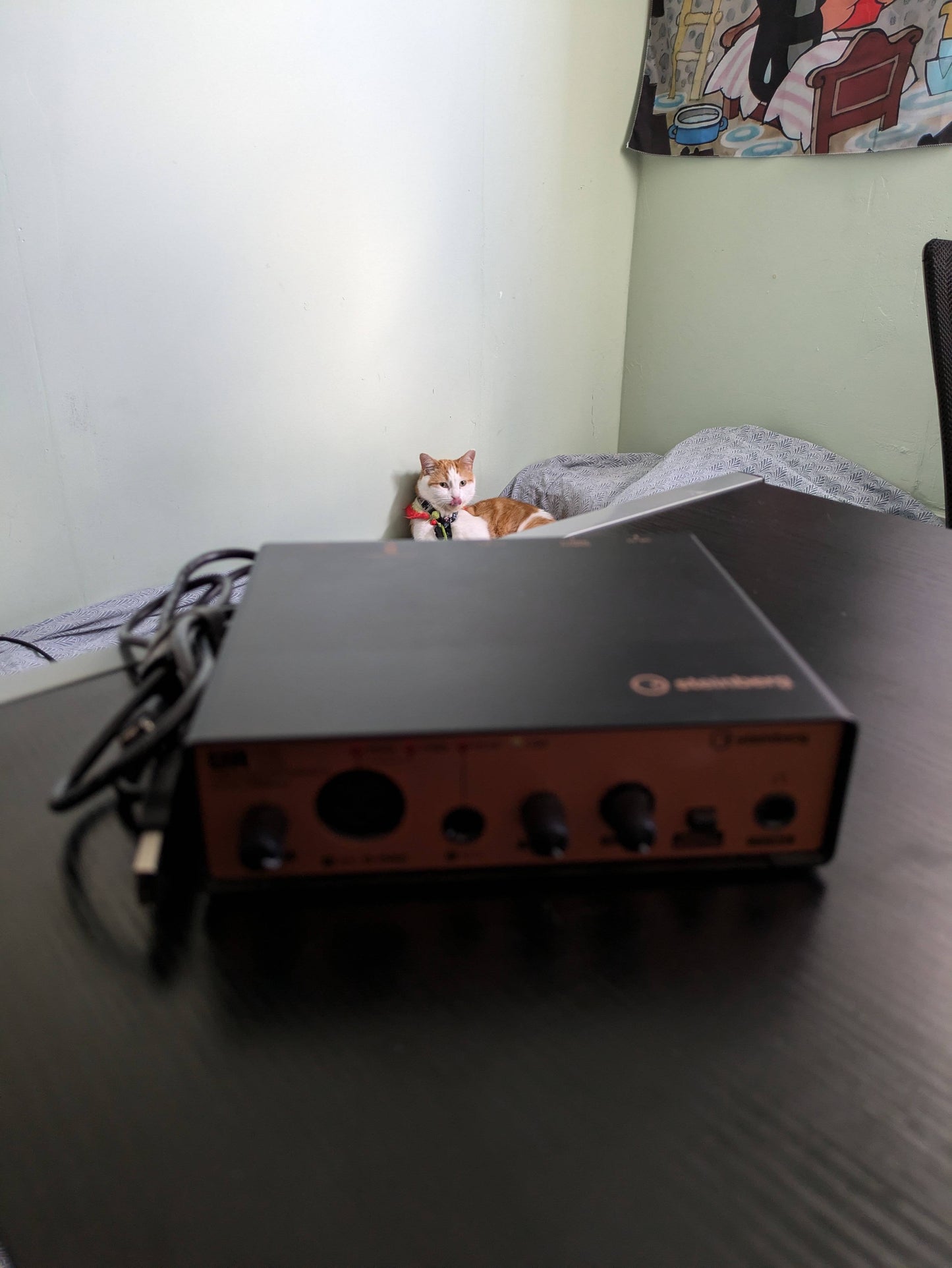 Steinburg Audio Interface UR12