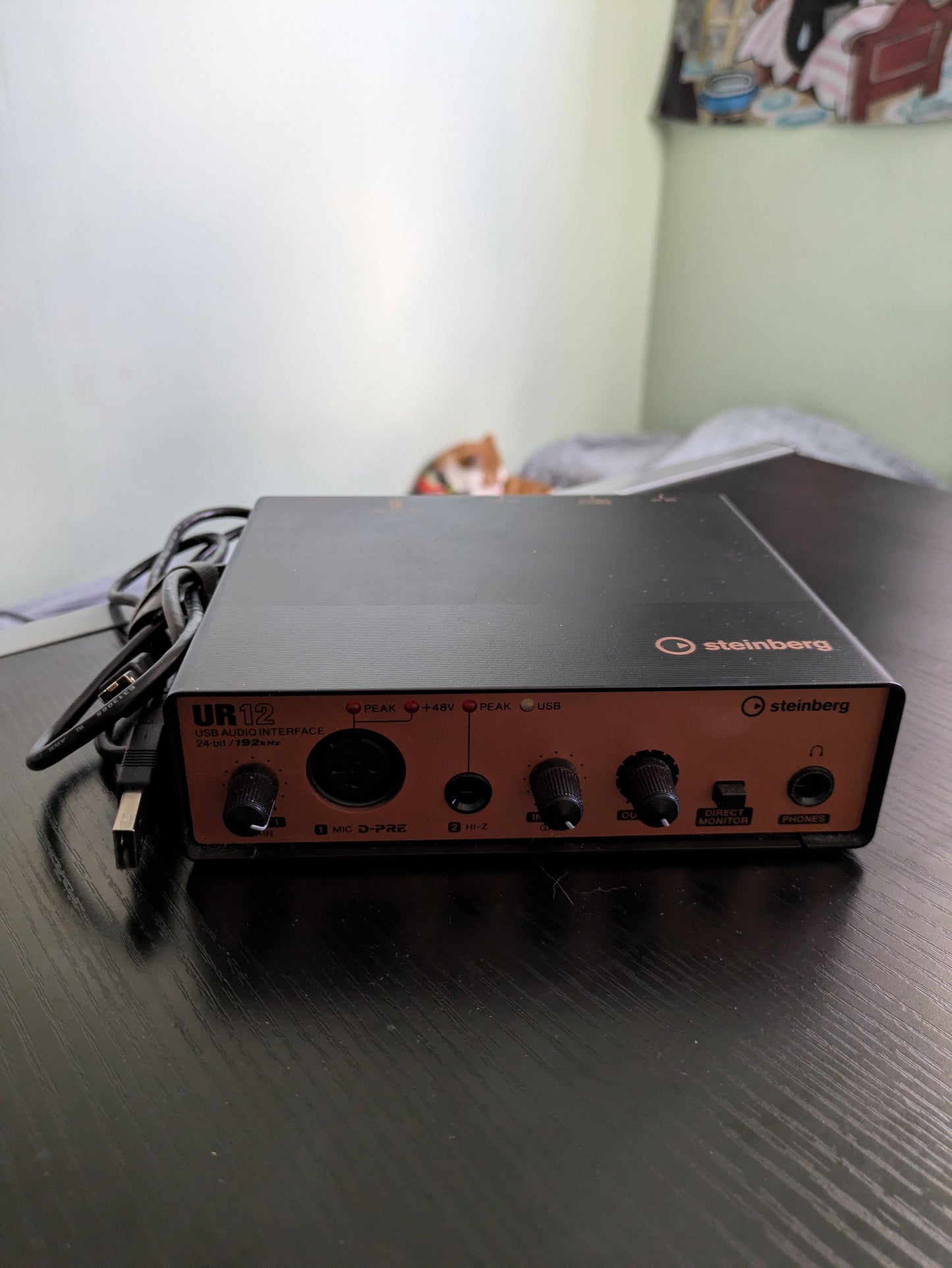 Steinburg Audio Interface UR12